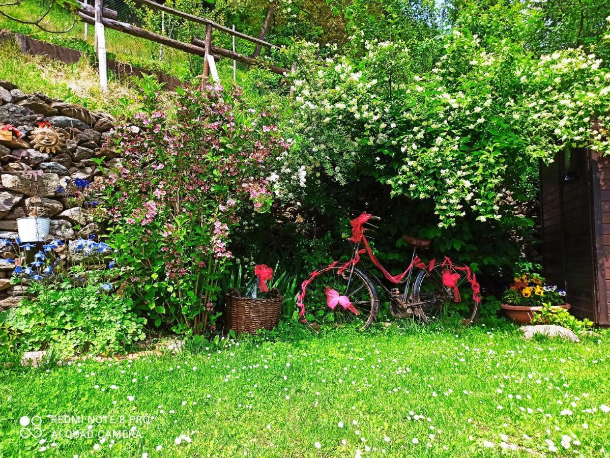 B&B Va...Lentina Piavata Exterior photo